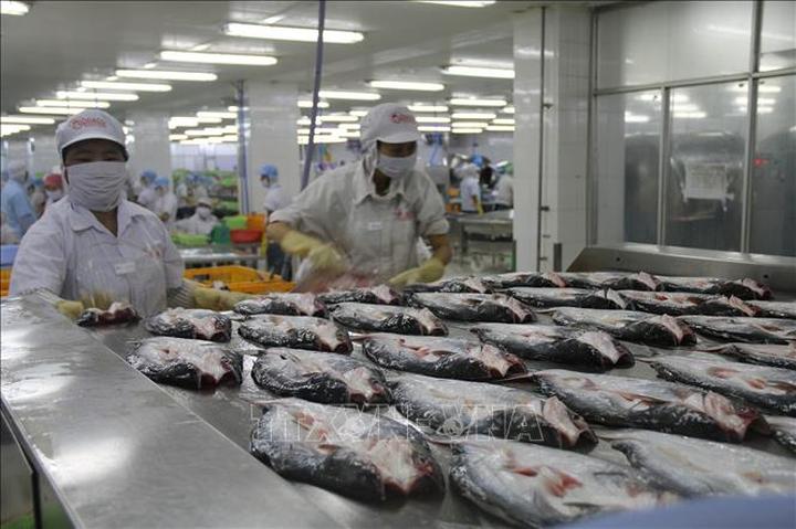 Xu hướng Sốc: Vụ tố