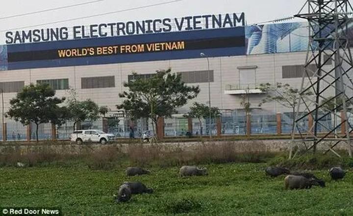 Khai thác tiềm năng kiếm tiền từ Hotspot Matrix: Bí quyết cho cầu thủ nghiệp dư